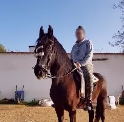 Milica, 31